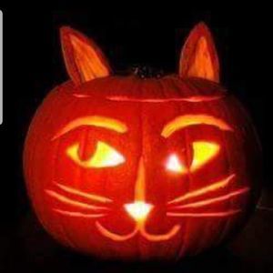 Meet your Posher, Cathy